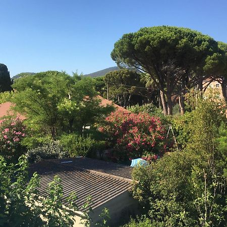 Studio Cosy Proche Mer Saint-Cyr-sur-Mer Ngoại thất bức ảnh