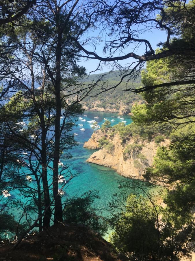 Studio Cosy Proche Mer Saint-Cyr-sur-Mer Ngoại thất bức ảnh