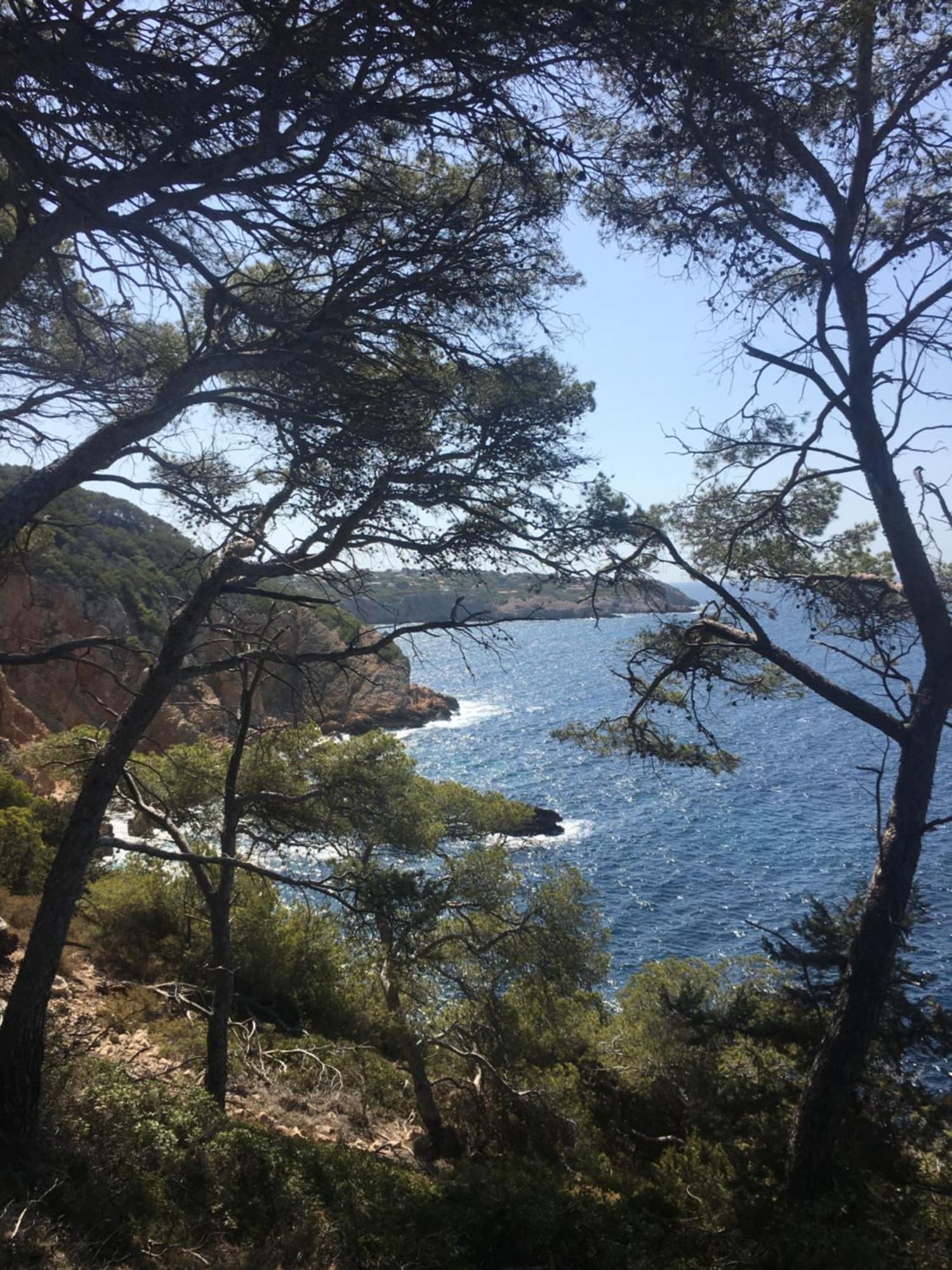 Studio Cosy Proche Mer Saint-Cyr-sur-Mer Ngoại thất bức ảnh
