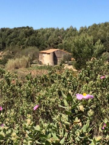 Studio Cosy Proche Mer Saint-Cyr-sur-Mer Ngoại thất bức ảnh
