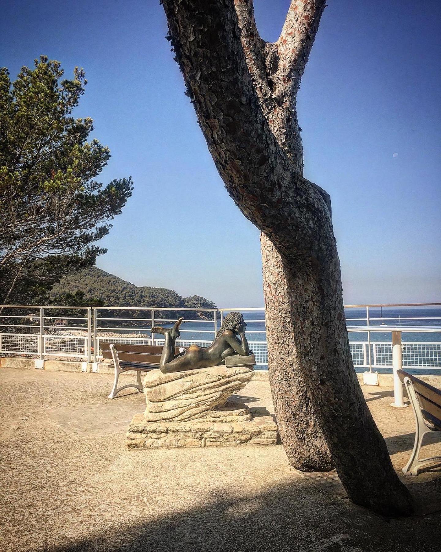 Studio Cosy Proche Mer Saint-Cyr-sur-Mer Ngoại thất bức ảnh